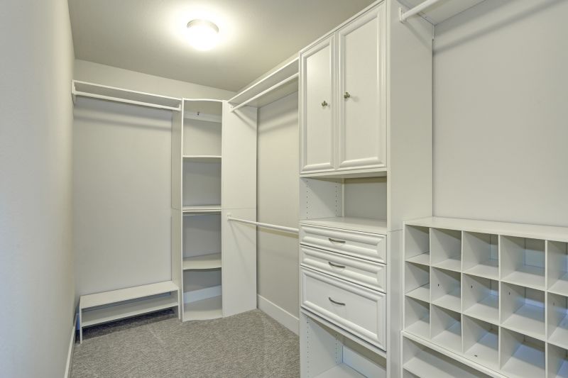 Walk-In Closet Organization Installation Design Trends
